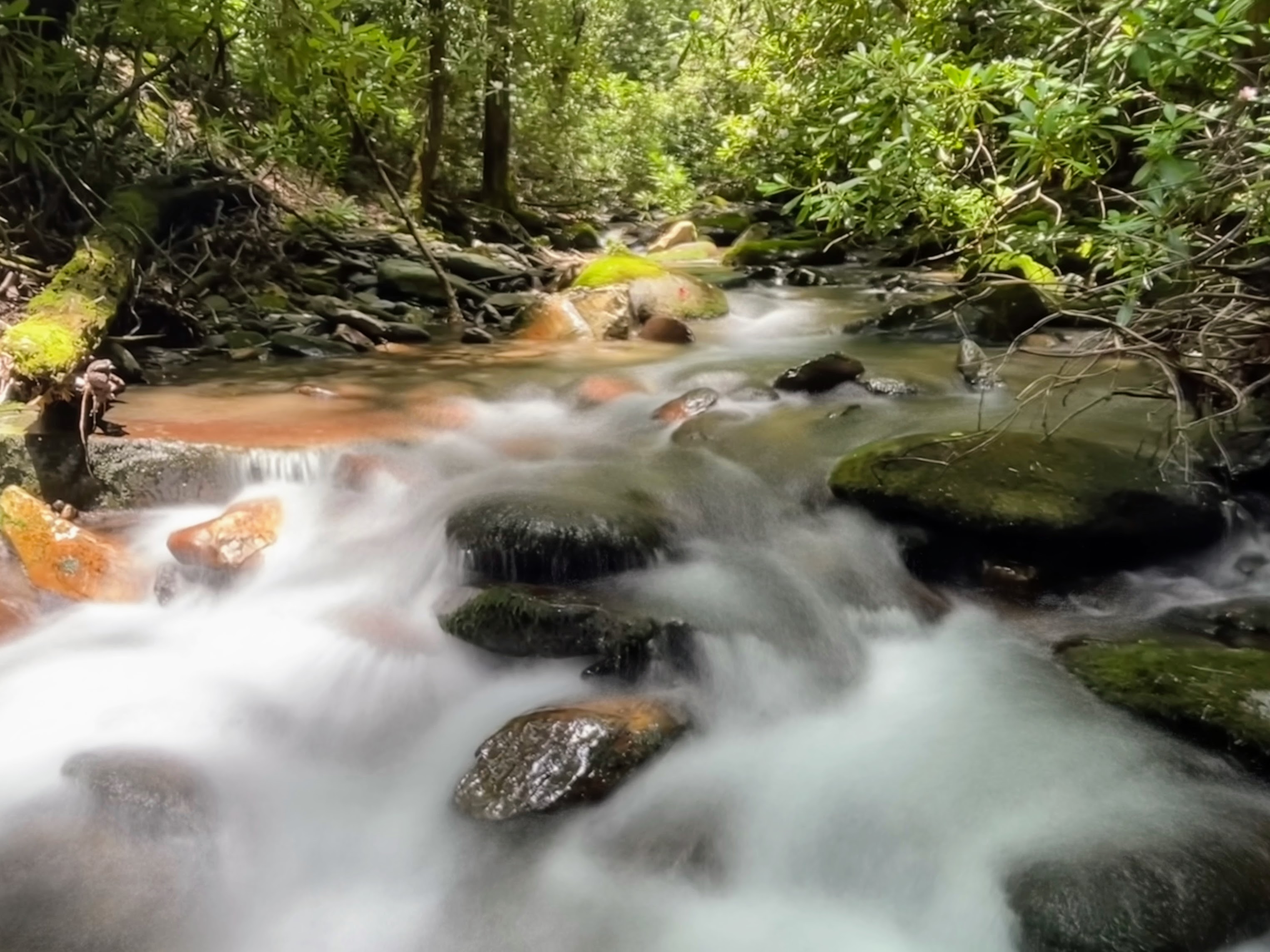 Rushing creek water over rocks