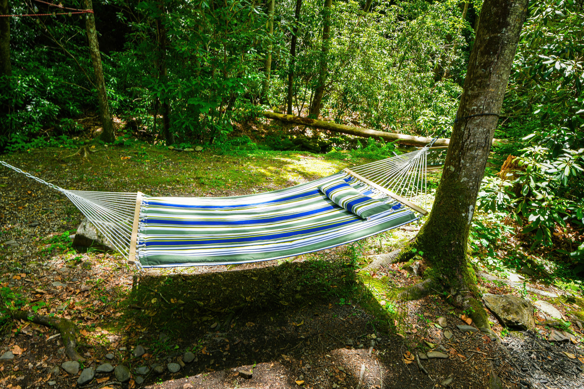 Hammock by the creek